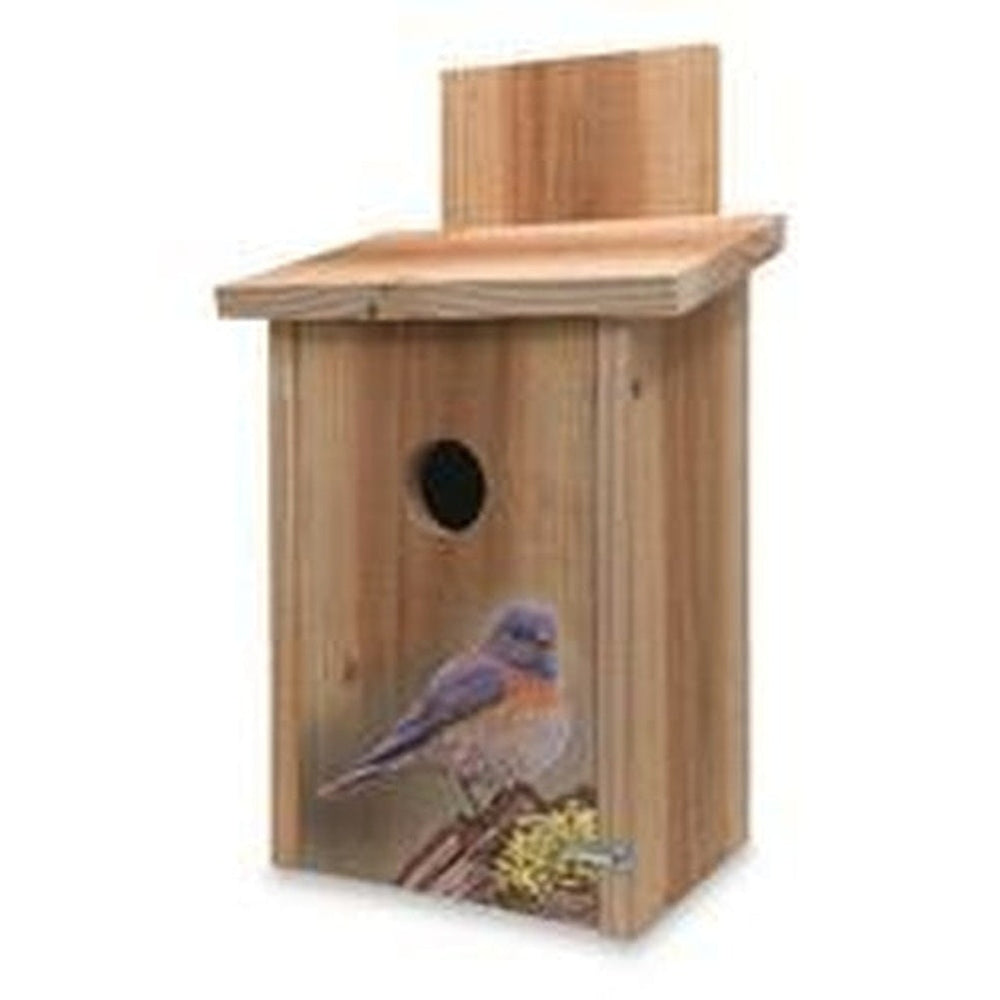 Decorative Bird in Tree Cedar Blue Bird House