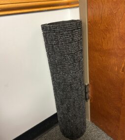 entry rug