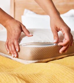Serta Align and Revive Gel Memory Foam Pillow