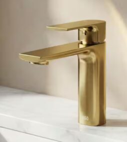 VIGO Davidson Single Handle Single-Hole Bathroom Faucet in Matte Brushed Gold