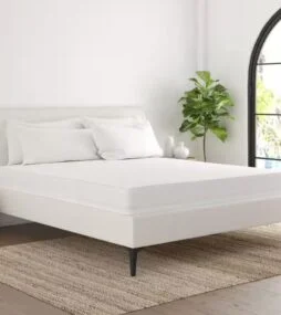 Becky Cameron Premium Full Bed Bug and Spill Proof Zippered Microfiber Mattress Protector