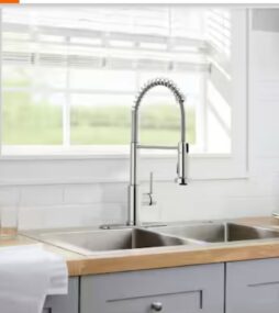 Glacier Bay Paulina Single-Handle Spring Neck Pull Down Sprayer Kitchen Faucet in Chrome