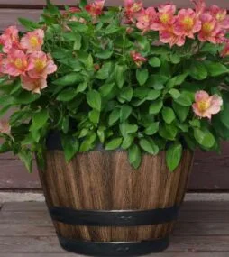 CHG CLASSIC HOME & GARDEN Reedley Medium Walnut Brown Resin Wine Barrel Lightweight Round Planter (11.33 in. L x 11.33 in. W x 8.51 in. H)